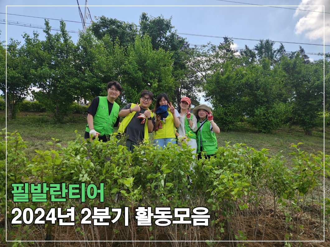 필발란티어 2024-2분기 활동 썸네일